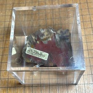 Petrified Wood Fossil 3”x2 1/8”x1 1/8” Natural Stone Clear Display Box 3 3/16”sq